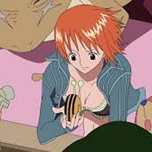 Bilder One Piece
