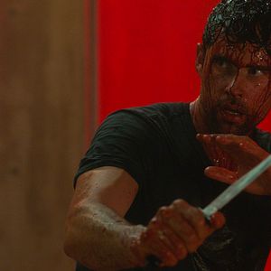 Bilder Stephen Huszar