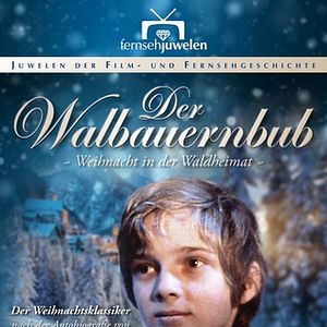 Bilder Der Waldbauernbub - Weihnacht in der Waldheimat