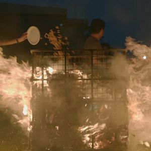 Bilder Die Insel der hungrigen Geister