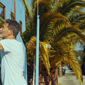 Bilder Mein Begleiter