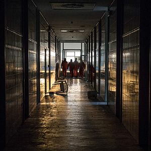 Bilder Effetto Domino