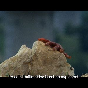 Bilder Ne croyez surtout pas que je hurle