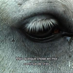 Bilder Ne croyez surtout pas que je hurle