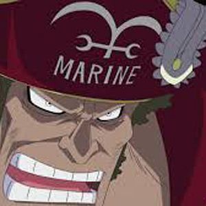 Bilder One Piece