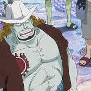 Bilder One Piece