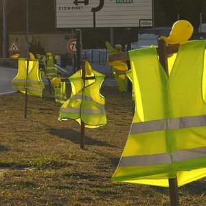 Bilder Graines de ronds-points