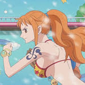 Bilder One Piece