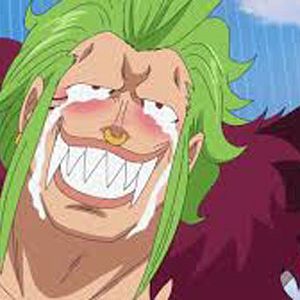 Bilder One Piece