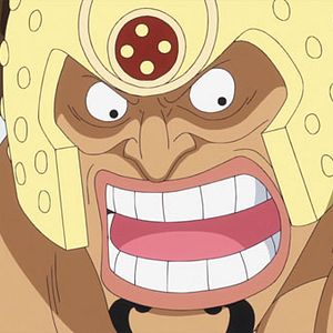 Bilder One Piece