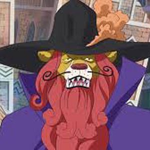 Bilder One Piece