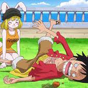 Bilder One Piece