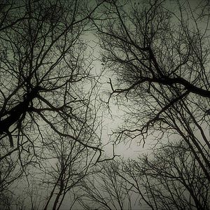 Bilder Amityville: Mt. Misery Road