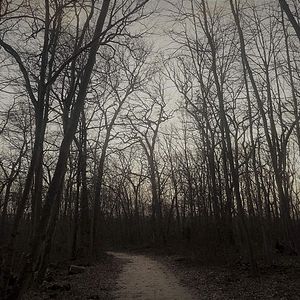 Bilder Amityville: Mt. Misery Road