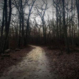 Bilder Amityville: Mt. Misery Road