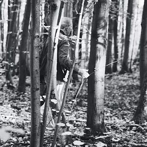 Bilder 800 Mal Einsam - Ein Tag Mit Dem Filmemacher Edgar Reitz