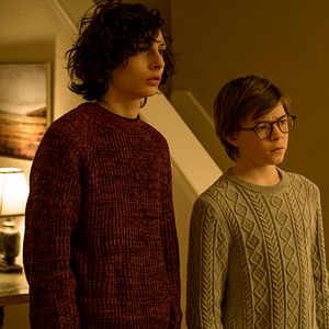 Bilder Der Distelfink