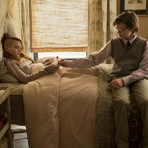 Bilder Der Distelfink