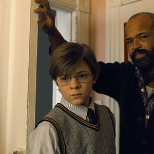 Bilder Der Distelfink