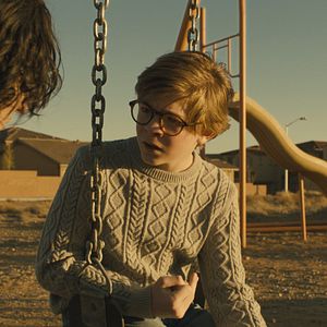 Bilder Der Distelfink