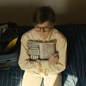 Bilder Der Distelfink