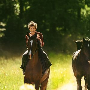 Bilder Pferde stehlen