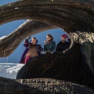 Bilder Giuseppe Lo Piccolo