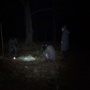 Bilder Ghoul - Die Legende vom Leichenesser