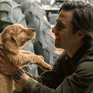 Bilder Milo Ventimiglia