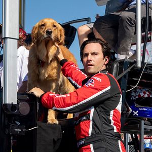 Bilder Milo Ventimiglia