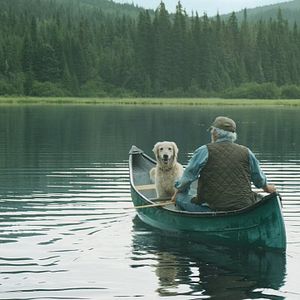 Bilder And The Birds Rained Down