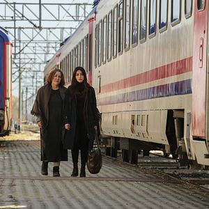 Bilder Sumru Yavrucuk