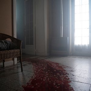 Bilder Marianne (2019)