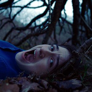 Bilder The Other Lamb