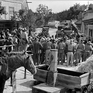 Bilder Feuerkopf von Wyoming