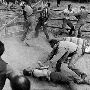 Bilder Feuerkopf von Wyoming