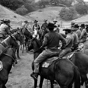 Bilder Feuerkopf von Wyoming