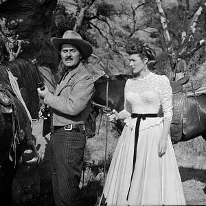 Bilder Feuerkopf von Wyoming