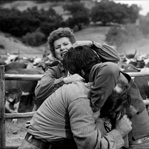 Bilder Feuerkopf von Wyoming