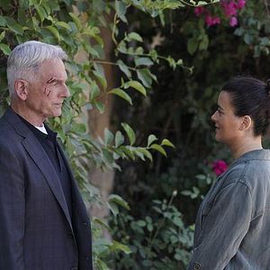 Bilder Cote De Pablo