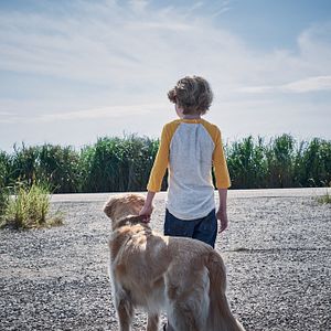 Bilder Im hohen Gras