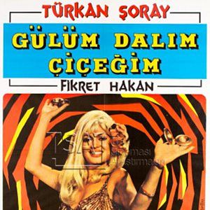 Bilder Gülüm Dalım Çiçeğim