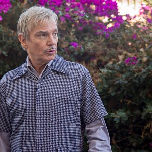 Bilder Tausend kleine Scherben