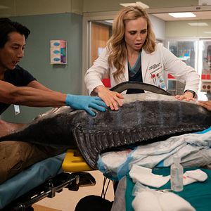 Bilder Fiona Gubelmann