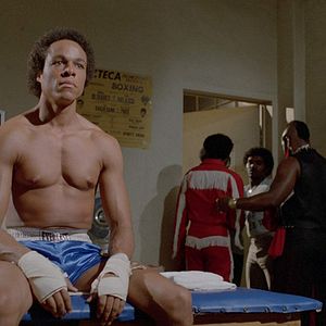 Bilder Black City Tiger