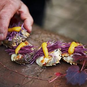 Bilder The Wandering Chef