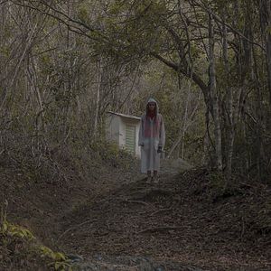 Bilder Os Dias Sem Tereza