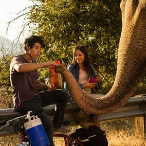 Bilder Rettet Flora - Die Reise ihres Lebens