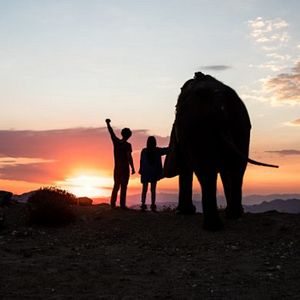 Bilder Rettet Flora - Die Reise ihres Lebens