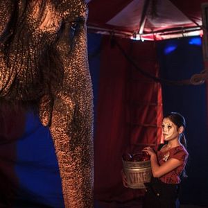 Bilder Rettet Flora - Die Reise ihres Lebens